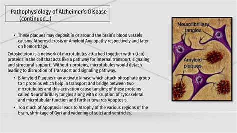 Pathophysiology Of Alzheimer S Disease Ppt