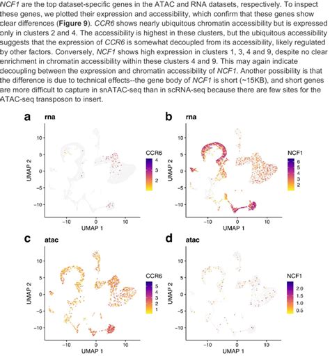 Genes Showing Expression And Accessibility Differences A B Umap