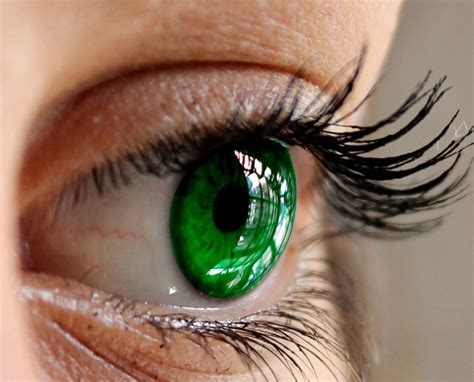 Green Eyes Color Scheme - Image Color Palettes - SchemeColor.com