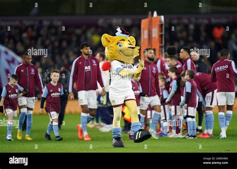 Aston Villa mascot Bella the Lion before the Premier League match at ...