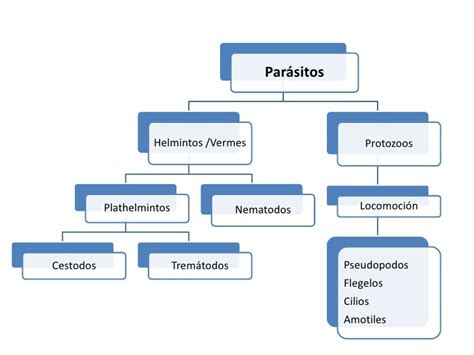 Generalidades Parasitos