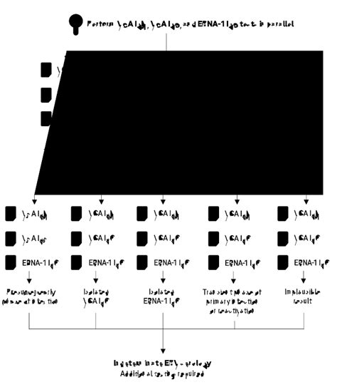 Roche Interactive Testing Algorithm