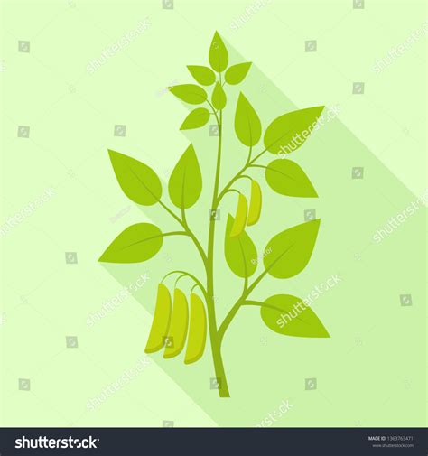 Soybean Plant Icon Flat Illustration Soybean Stock Vector Royalty Free