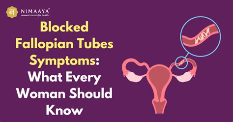 Blocked Fallopian Tubes Symptoms Every Woman Should Know