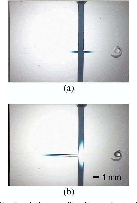 Figure From A Passive Pumping Method For Microfluidic Devices