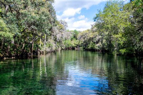 Blue Spring State Park: Year-Round Outdoor Fun - Travel Addicts