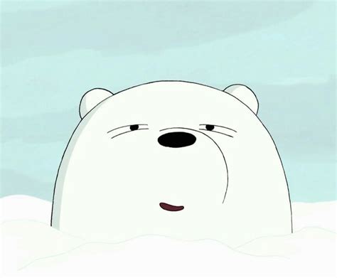 Ice Bear Ice Bears We Bare Bears Bare Bears