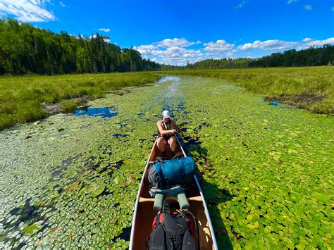 DNR Report: Even Boundary Waters Lakes Are Becoming Hazardously