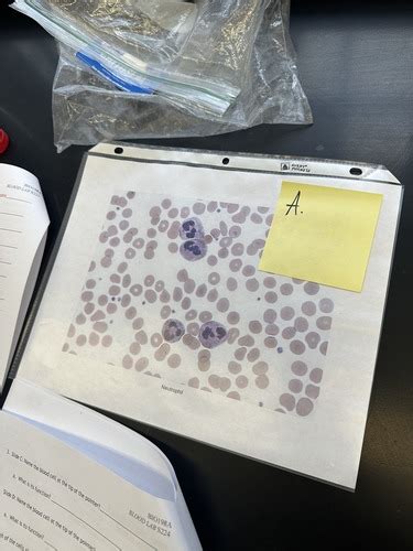 practical Flashcards | Quizlet 