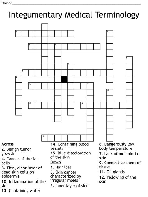 Integumentary Medical Terminology Crossword Wordmint