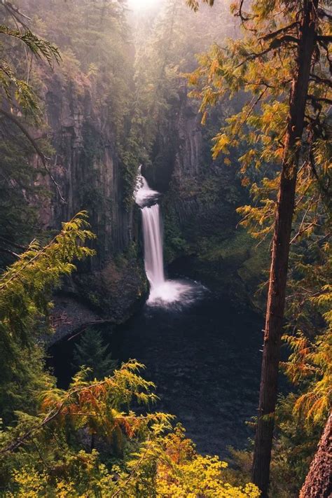 Toketee falls oregon – Artofit