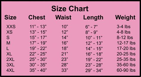 Chest Measurement Women Chart