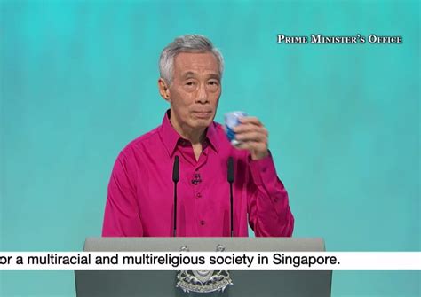 NDR 2021 7 Highlights From PM Lee Hsien Loong S Speech Singapore News