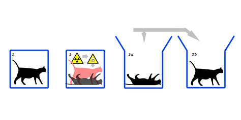 Schrodinger S Cat Thought Experiment Drawing Free Image Download