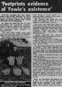 australian yowie research centre yowie introduction