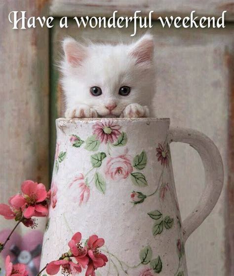 Have A Wonderful Weekend Weekend Days Of The Week Weekend Quotes Happy