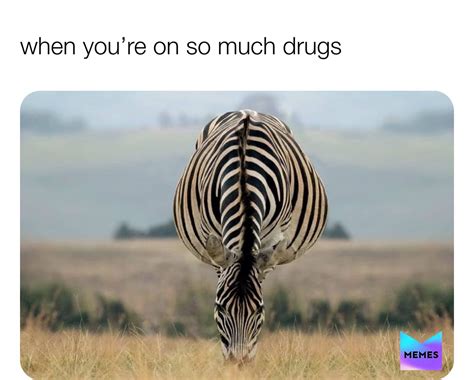 Post By You Gay Boy Memes