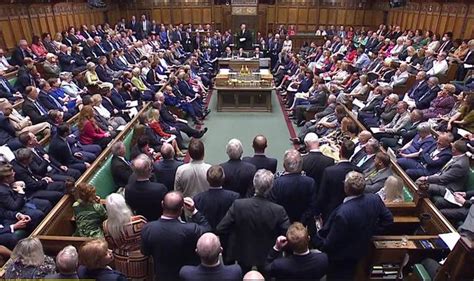 What Does It Mean For Mps To Lose The Whip In Parliament