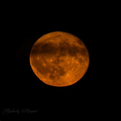 October Hunter's Full Moon - Photos, Food, and Fun