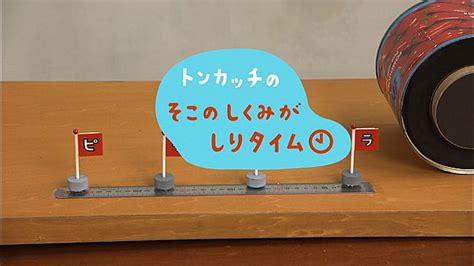 まきじゃくのジャック トンカッチのそこのしくみがしりタイム ピタゴラスイッチ ミニ Nhk