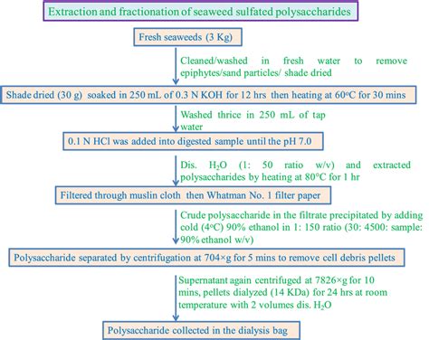 Flow Chart For The Extraction And Fractionation Of Seaweed Sulfated Download Scientific Diagram