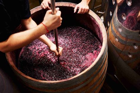 Alcoholic Fermentation What Is It And Why Is It Important Wine