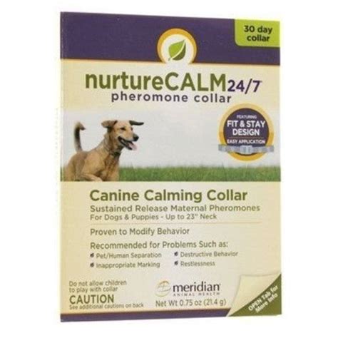 The 25 Best Dog Calming Collars of 2020 - Pet Life Today