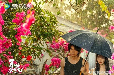 The Forbidden Flower Drama Review - Cnovelholic.com