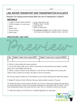 Plants Transpiration Lab By Biology Roots Teachers Pay Teachers