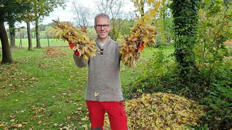 Garten Kino Gartenberatung Im Verband Wohneigentum E V