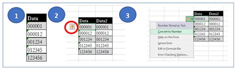 Leading Zeros In Excel Add Leading Zeros In Excel