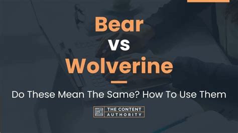 Bear vs Wolverine: Do These Mean The Same? How To Use Them