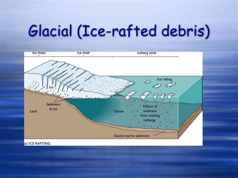 Ppt Origin And Distribution Of Marine Sediments Powerpoint