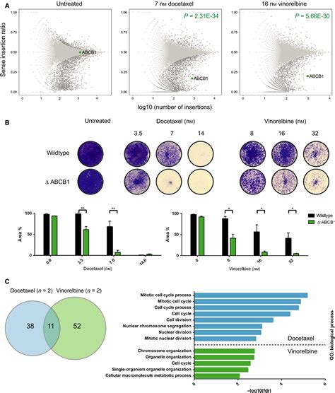 Haploid Genetic Screens Identify Genetic Vulnerabilities To Microtubule