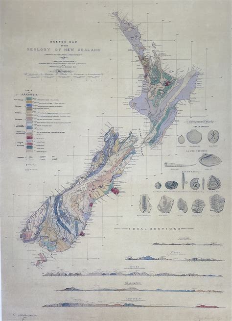 New Zealand Geology By Hector