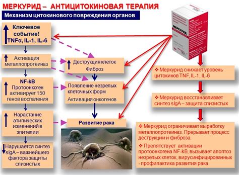 Препараты: лечение рака простаты, лечение рака шейки матки. Омоложение ...
