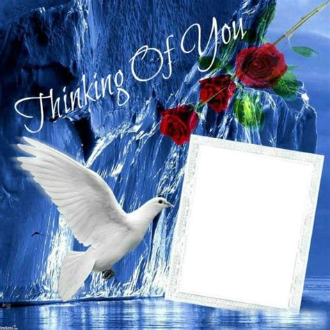 A Greeting Card With A White Dove And Red Roses On The Side In Front