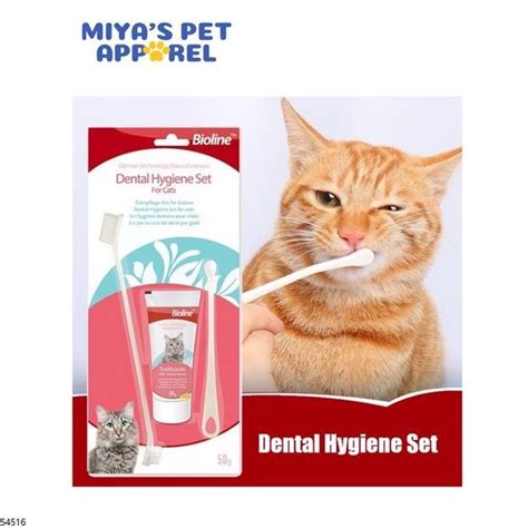 Bioline Dental Hygiene Toothpaste Set For Cats Cheese Flavor G