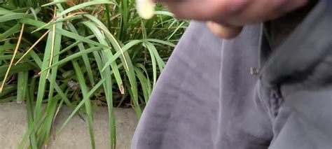 Public Cum Gay Amateur Amateur Porn Feat Antony Rivi XHamster