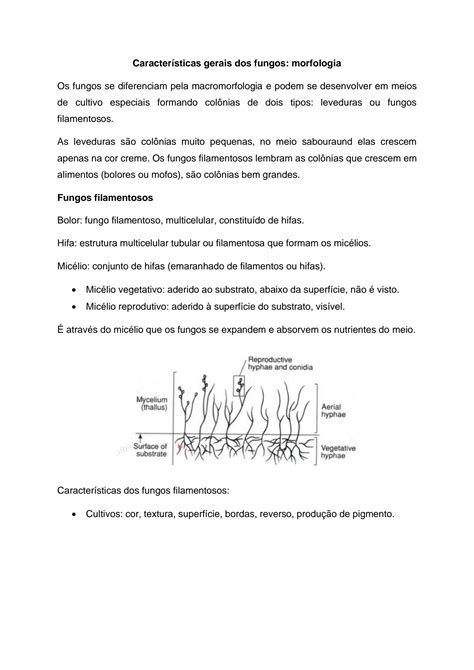 Solution Caracter Sticas Gerais Dos Fungos Morfologia Studypool