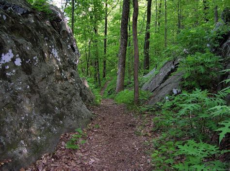 Monte Sano State Park And Land Trust Mountain Bike Trail In Huntsville