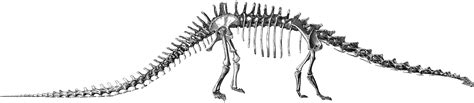 Mike Taylor - Sauropods held their necks erect