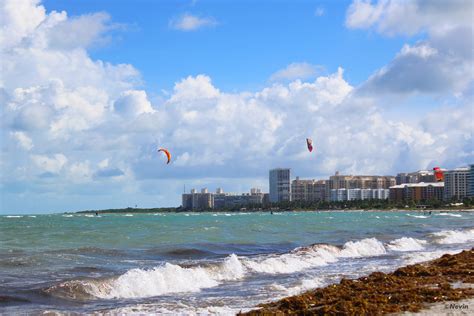 Crandon Park Beach, Miami - THROUGH THE LENS