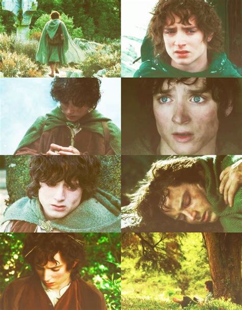 He's so beautiful! | The hobbit, The hobbit movies, Frodo baggins