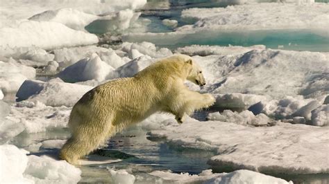 Il Cambiamento Climatico Sta Rallentando La Rotazione Della Terra Con