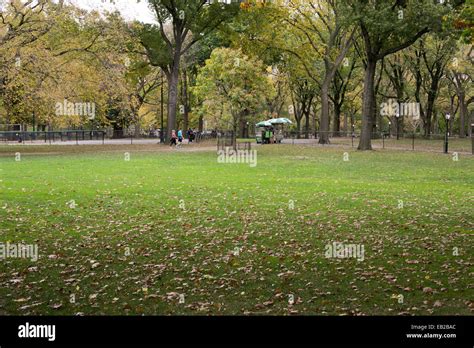 Ovejas Prado Parque Central Fotografías E Imágenes De Alta Resolución