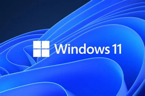 Windows 11 Insider Preview Baru Hadirkan Kopilot Fitur Pengembang Baru