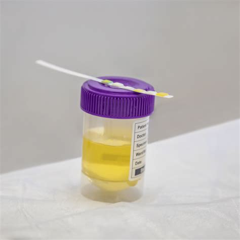 Debunking Common Myths About Urine Drug Tests Panel Now