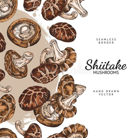 Vertical Vector Pattern Shiitake Mushrooms In Hand Draw Style On A