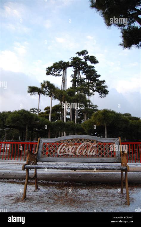 Coca Cola and the Tree (8459107861 Stock Photo - Alamy